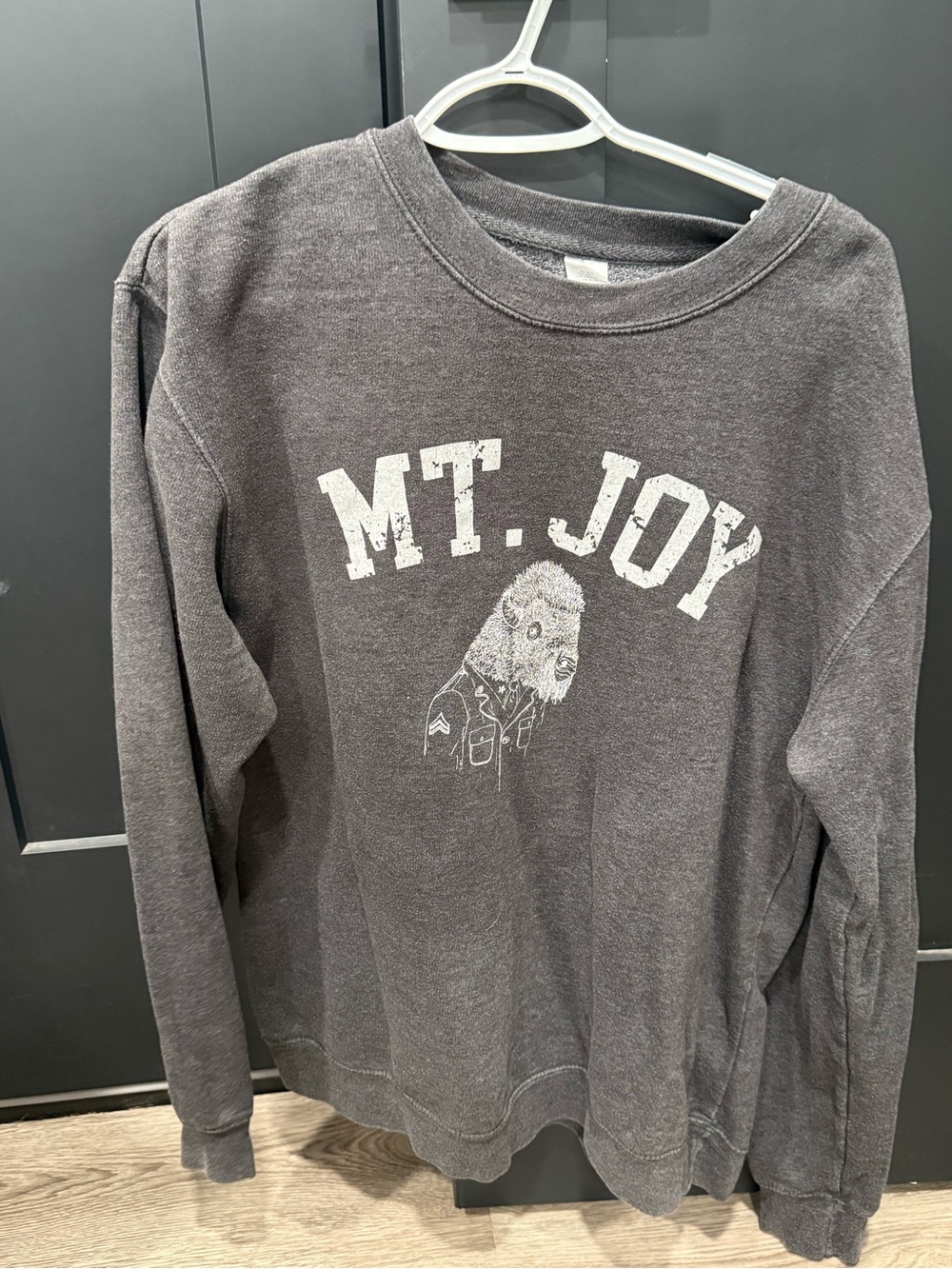 MT. JOY Charcoal Graphic Sweatshirt